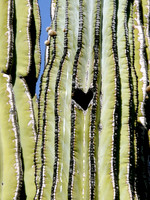 P1020086