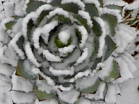 P1060178 4