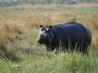 P1070687