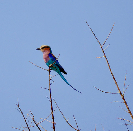 P1090190